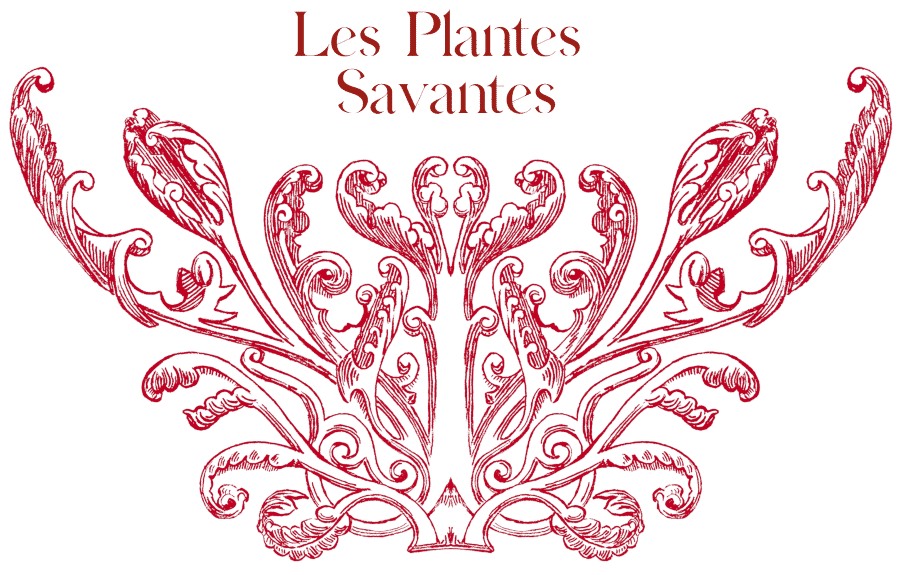 les-plantes-savantes.com