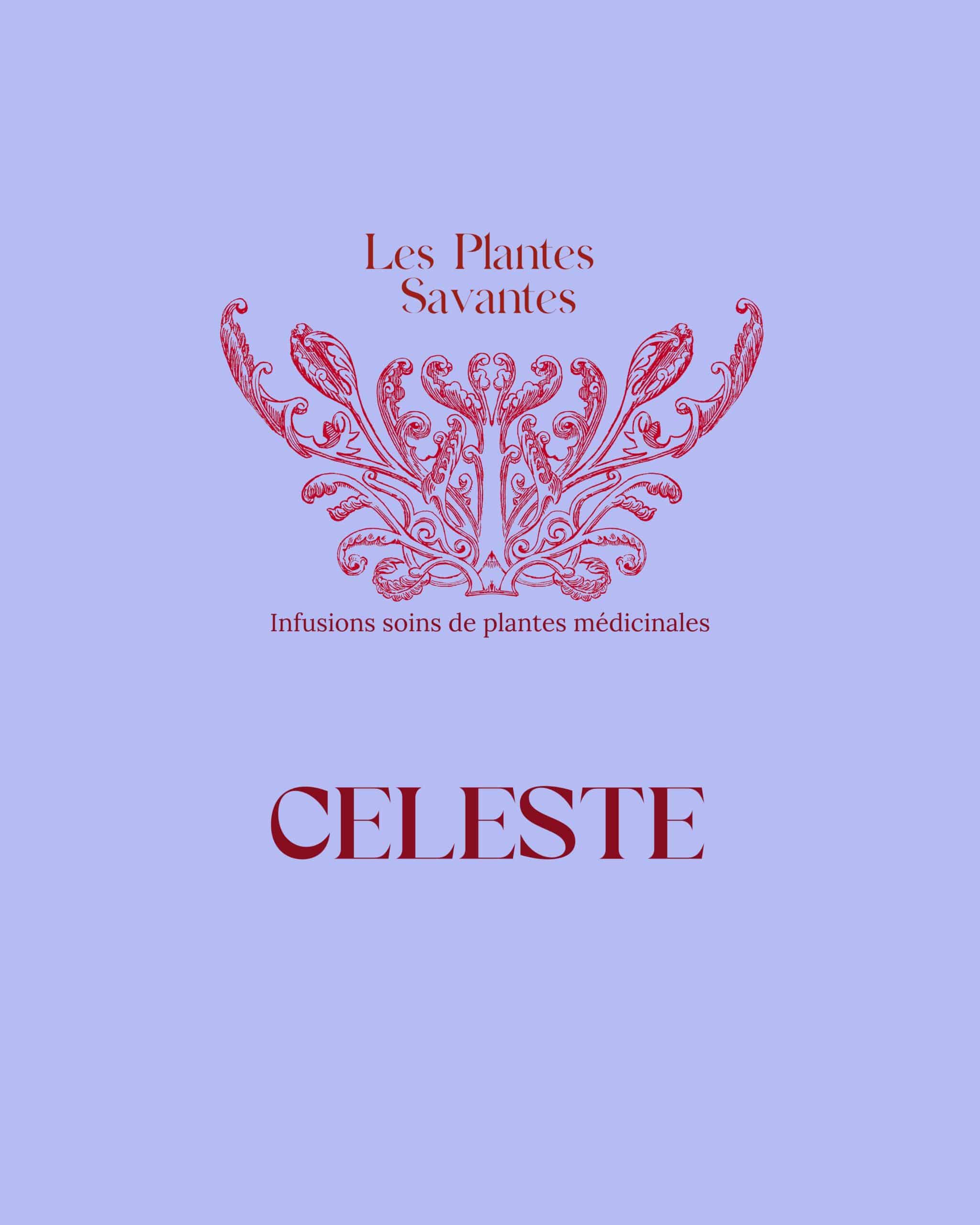 Post Instagram Moodboard Inspiration Tendance Collage Photos élégant Typographie Citation Minimaliste Beige-32