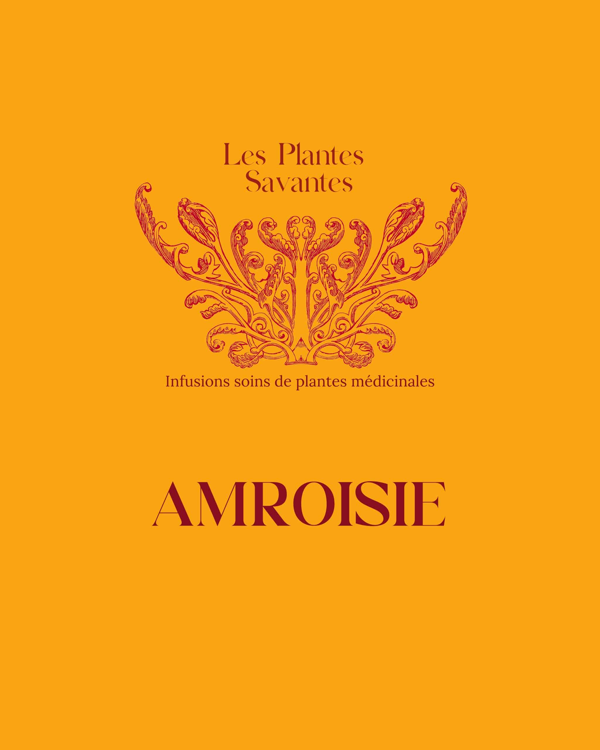 Post Instagram Moodboard Inspiration Tendance Collage Photos élégant Typographie Citation Minimaliste Beige-33