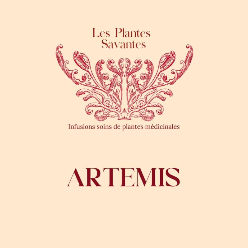 Infusion soin Artemis Bio - Rupture de stock