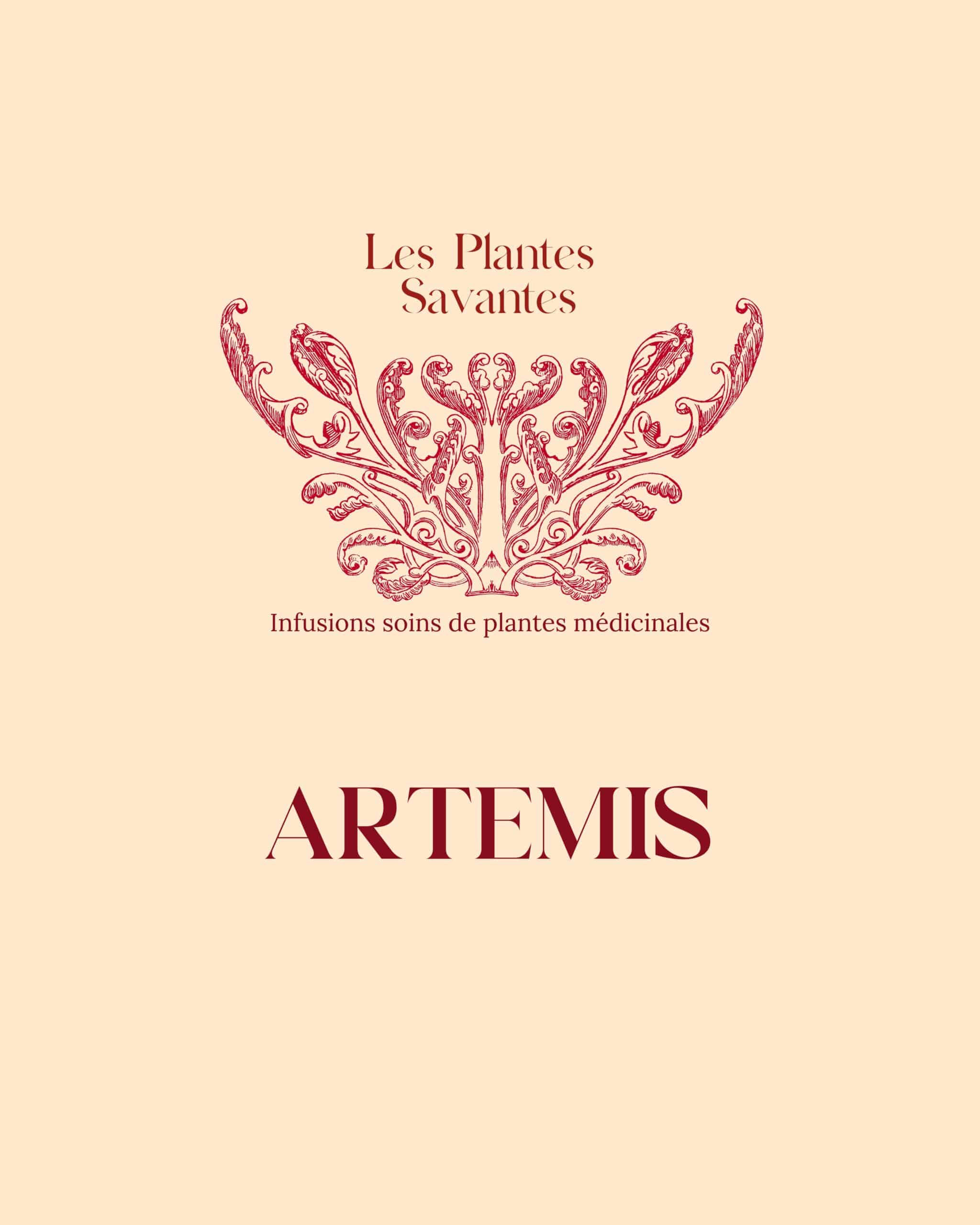 Post Instagram Moodboard Inspiration Tendance Collage Photos élégant Typographie Citation Minimaliste Beige-35