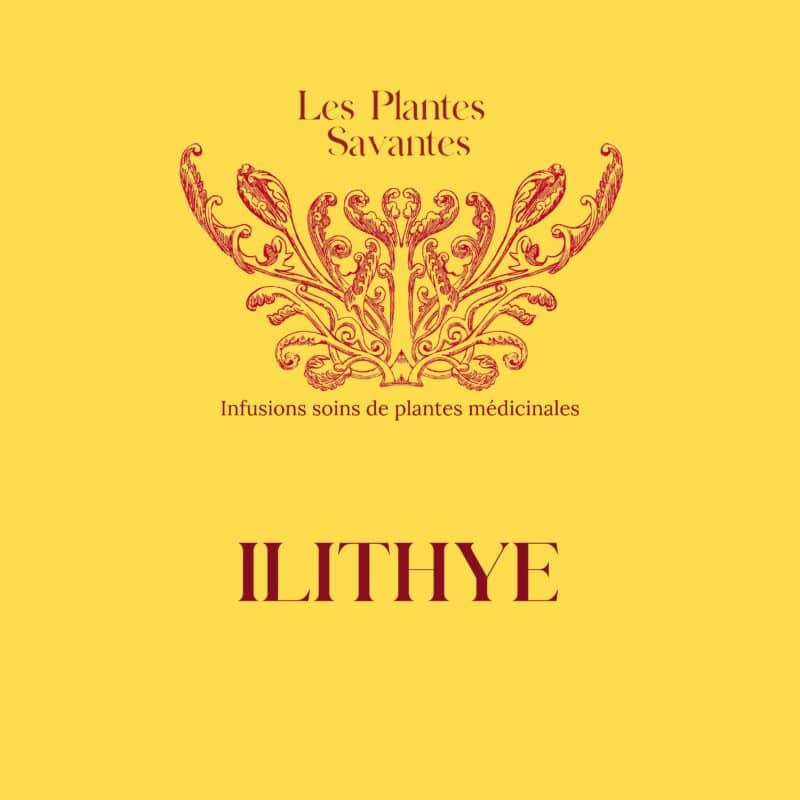 Infusion soin Ilithye Bio à la Menthe Bergamote - Rupture de stock